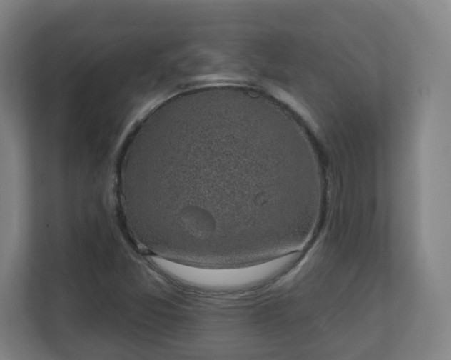 X0000111131357200907071009