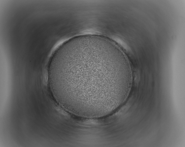 X0000111131358200907071009