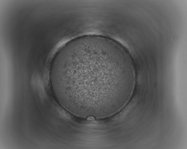 X0000111131359200907071009