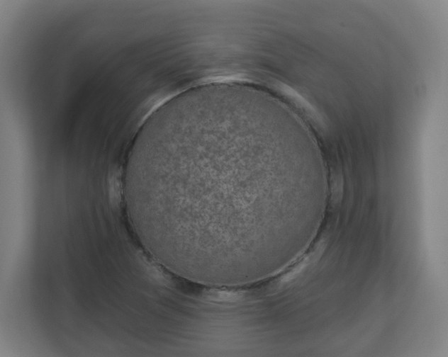 X0000111131361200907071009