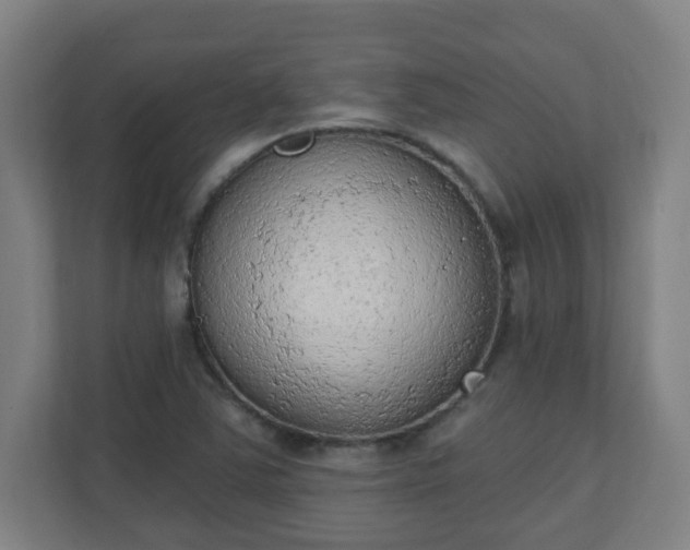 X0000111131363200907071009