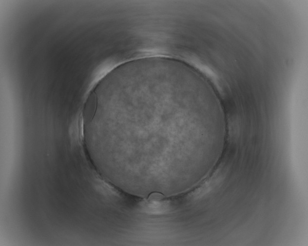 X0000111131365200907071009