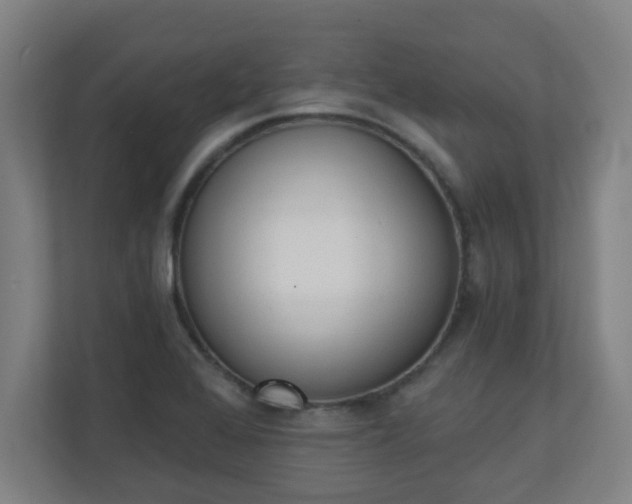 X0000111131368200907071009