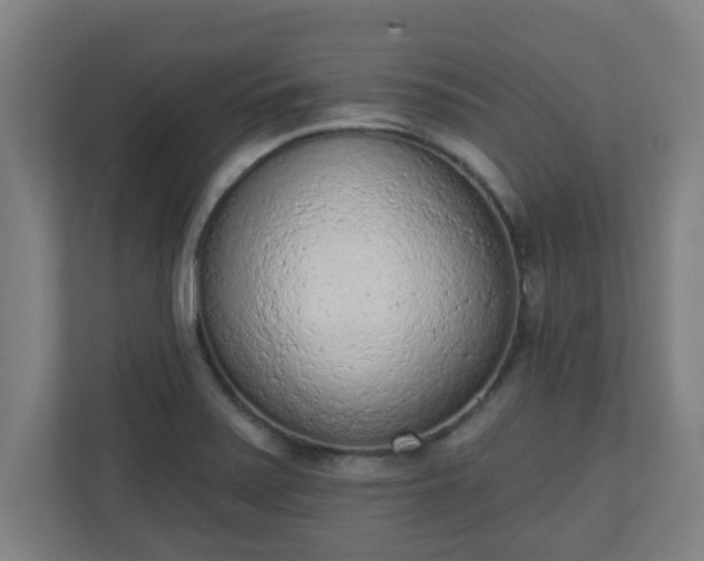 X0000111131371200907071009