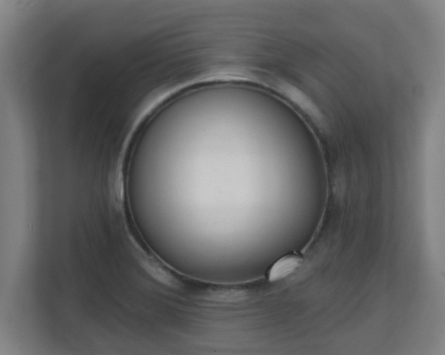 X0000111131372200907071009