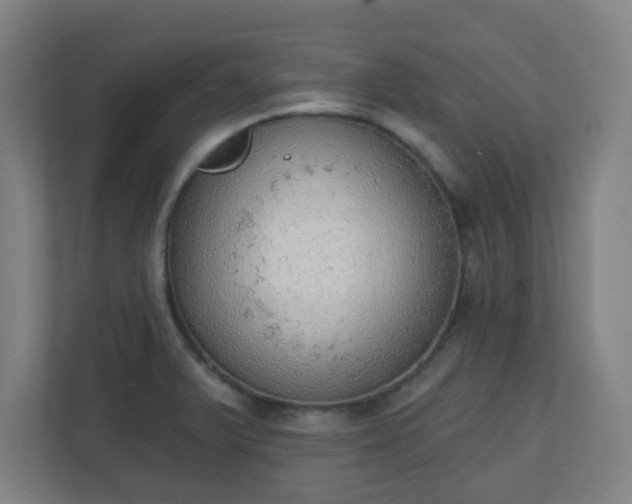 X0000111131375200907071009
