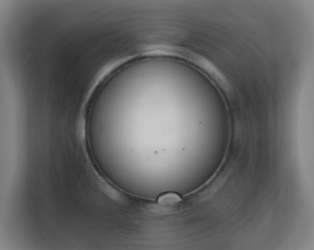 X0000111131376200907071009