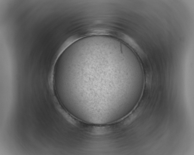 X0000111131378200907071009