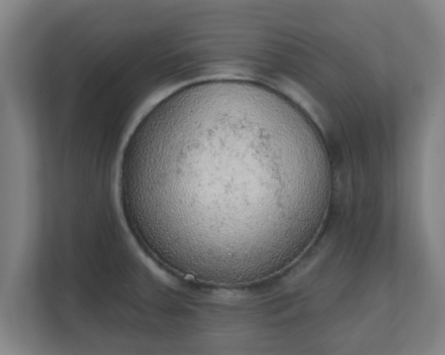X0000111131379200907071009