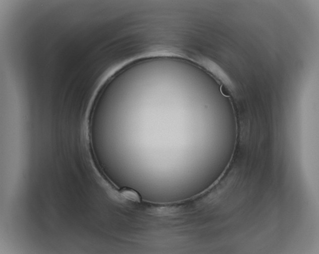 X0000111131380200907071009