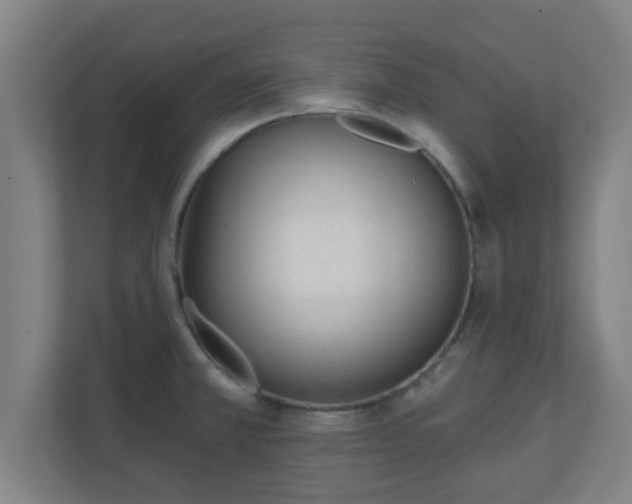 X0000111131381200907071009