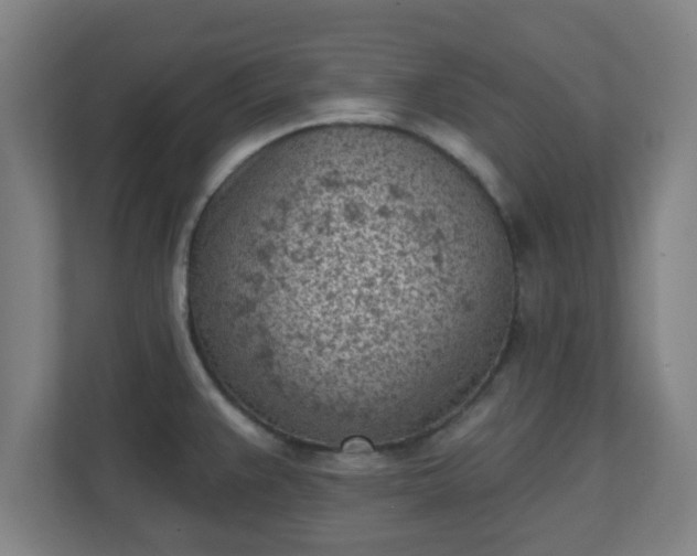 X0000111131383200907071009