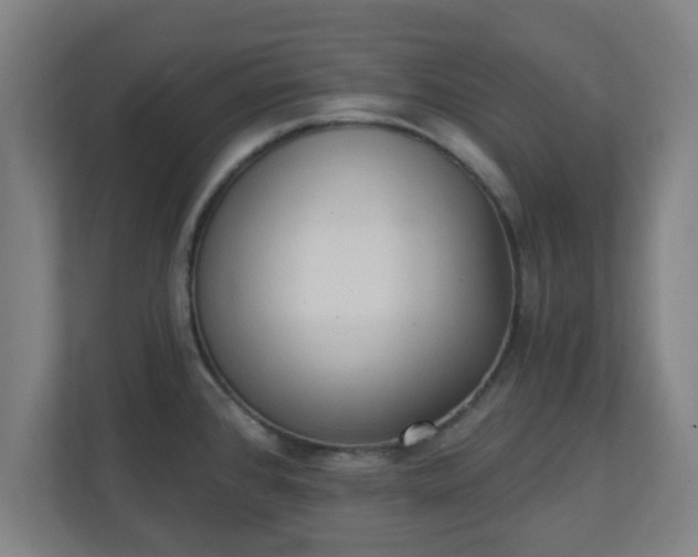 X0000111131384200907071009
