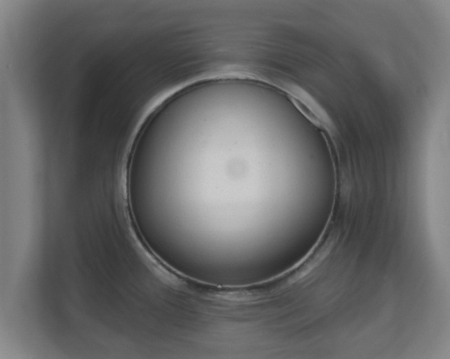 X0000111131388200907071009