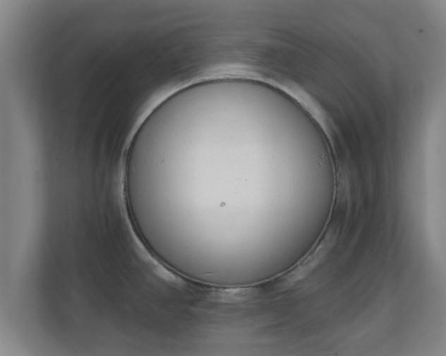 X0000111131390200907071009