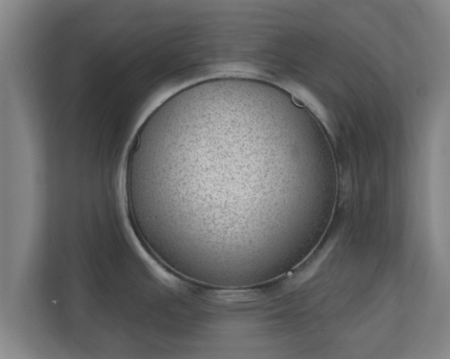 X0000111131391200907071009