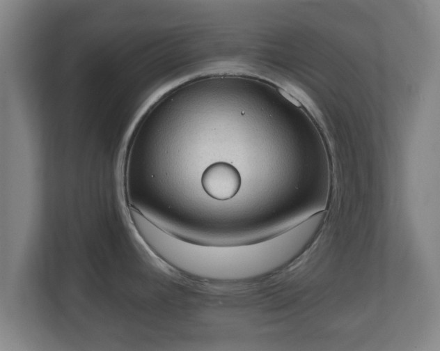 X0000111131392200907071009