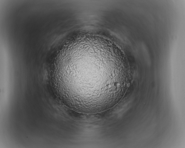 X0000111131397200907071008