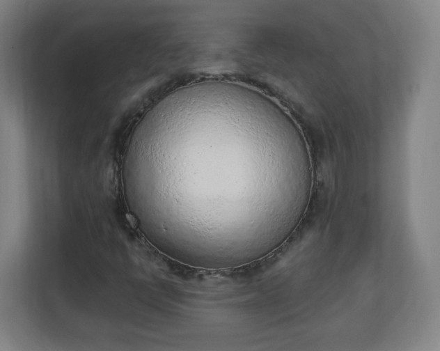 X0000111131398200907071008