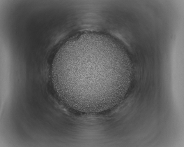 X0000111131399200907071008
