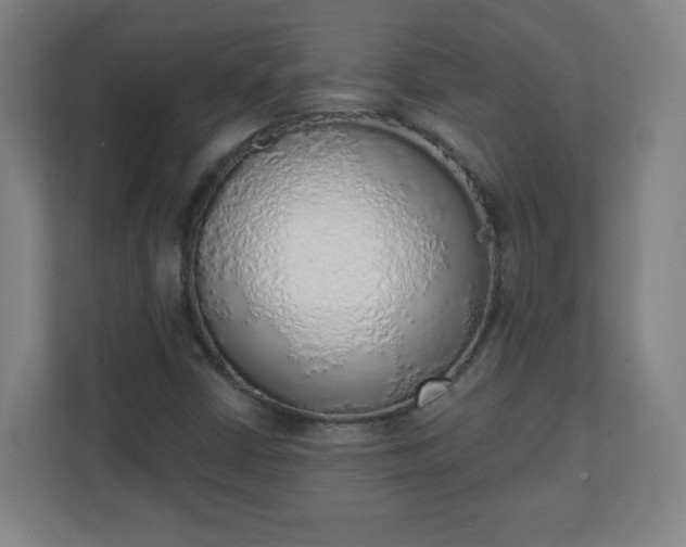 X0000111131402200907071008