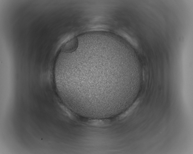 X0000111131405200907071008