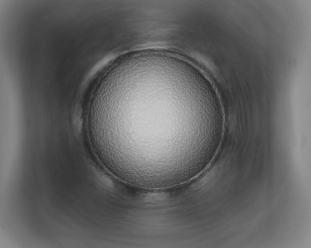X0000111131406200907071008