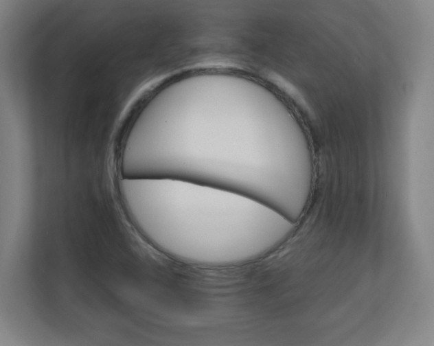 X0000111131408200907071008