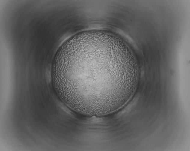 X0000111131409200907071008