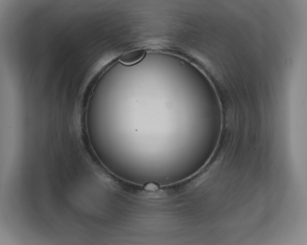 X0000111131410200907071008