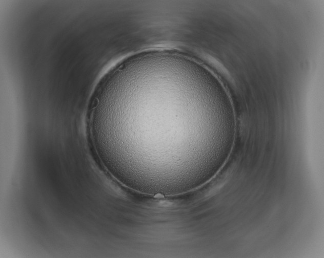 X0000111131412200907071008