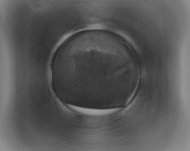 X0000111131414200907071008