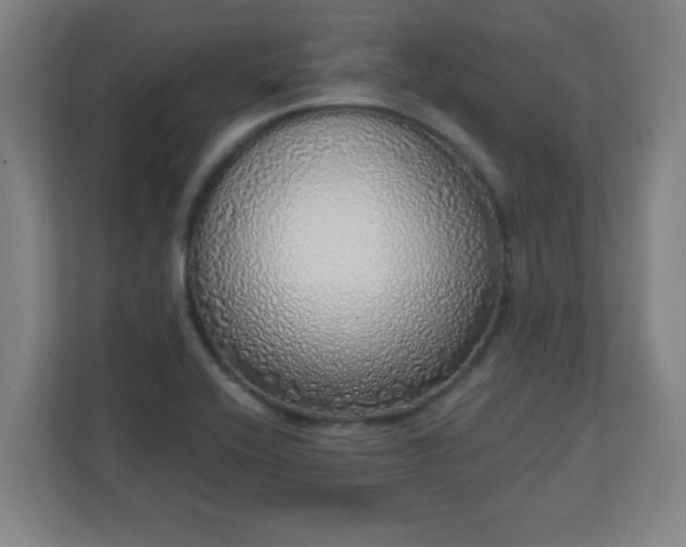 X0000111131416200907071008