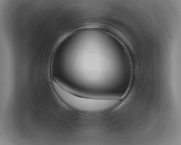 X0000111131417200907071008