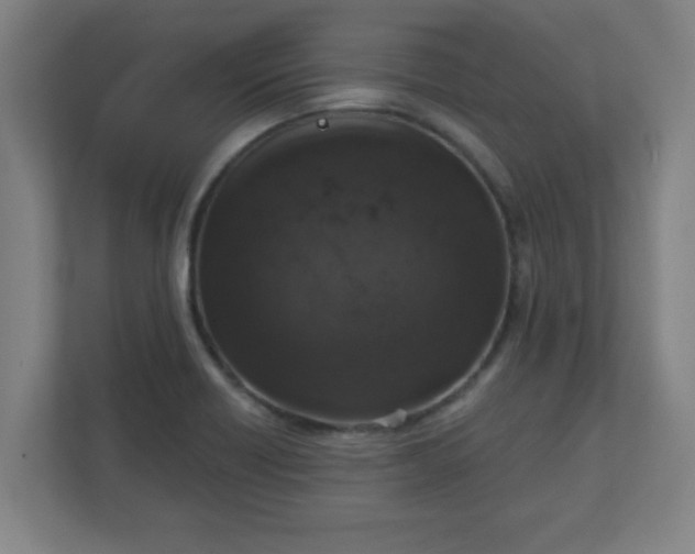 X0000111131418200907071008