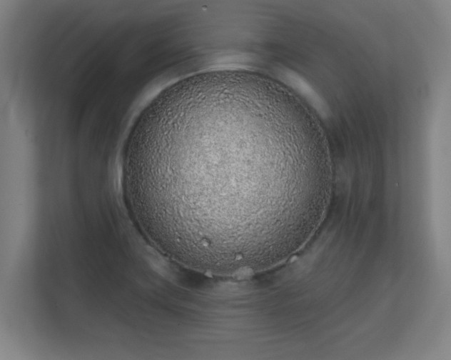 X0000111131419200907071008