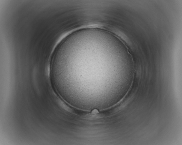 X0000111131420200907071008