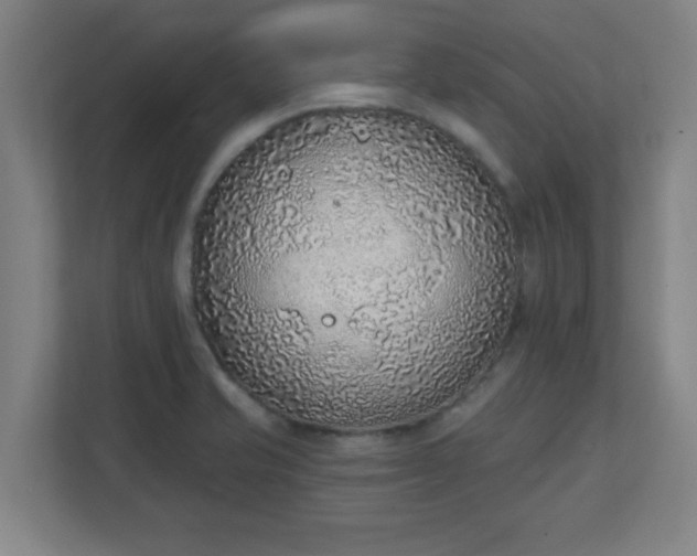 X0000111131421200907071008