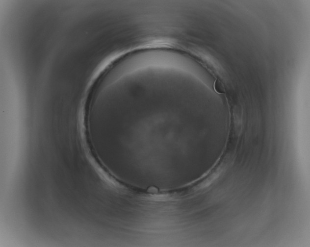 X0000111131422200907071008