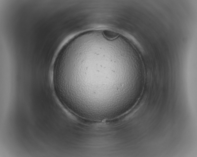 X0000111131424200907071008
