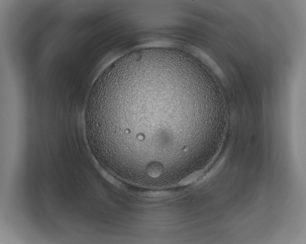 X0000111131425200907071009