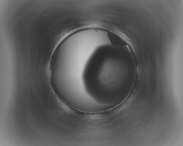 X0000111131428200907071009