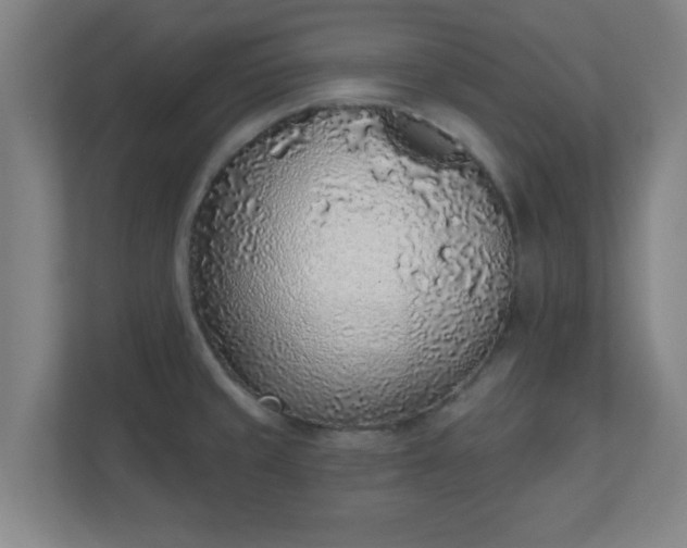 X0000111131429200907071009
