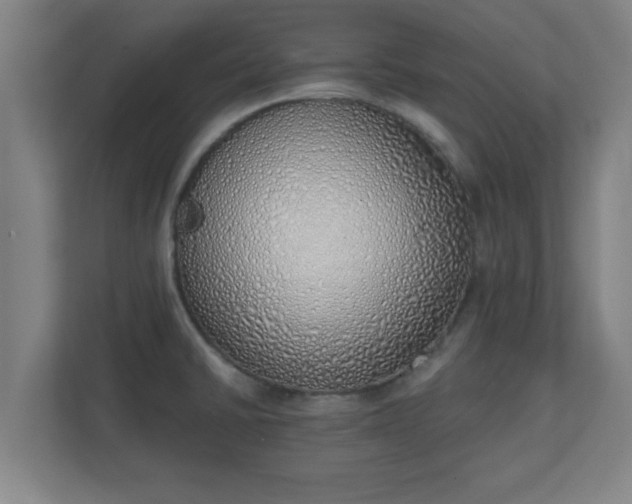 X0000111131430200907071009