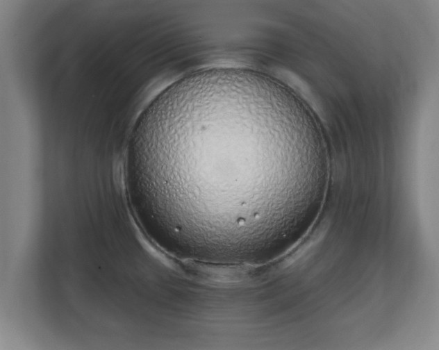 X0000111131433200907071009