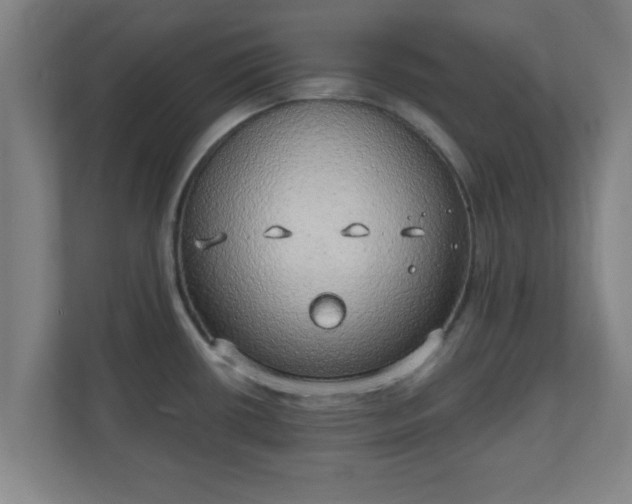 X0000111131434200907071009