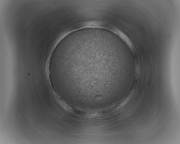 X0000111131435200907071009
