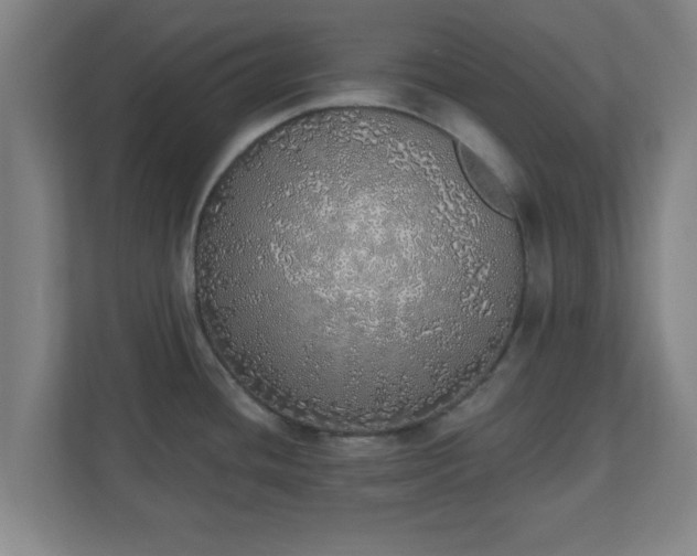 X0000111131436200907071009