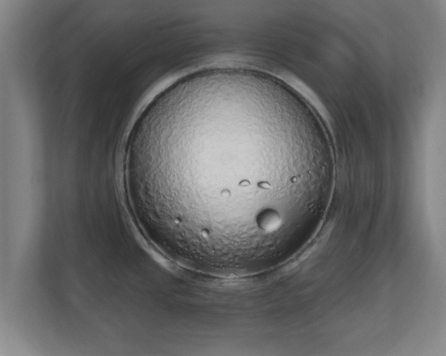 X0000111131437200907071009