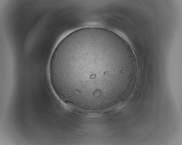 X0000111131440200907071009